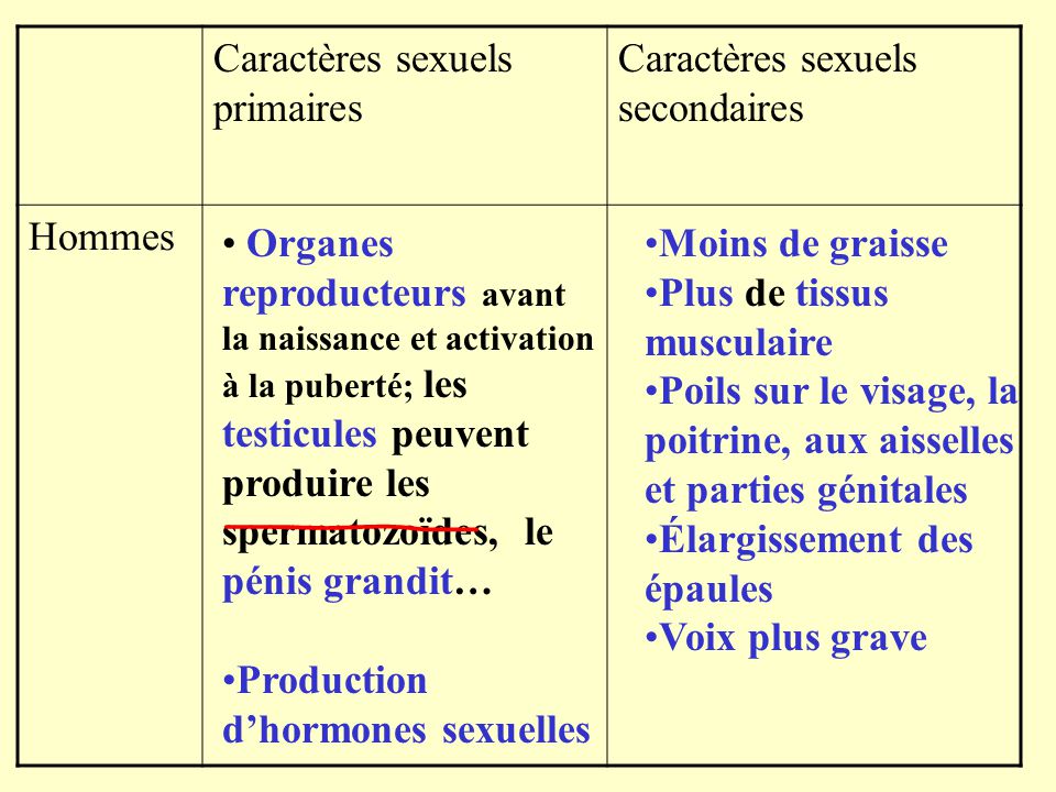 Page 202 1 4 8 9 Caract res sexuels primaires ppt t l charger